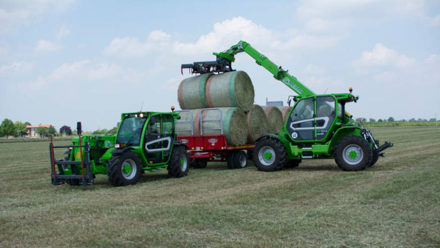 Merlo